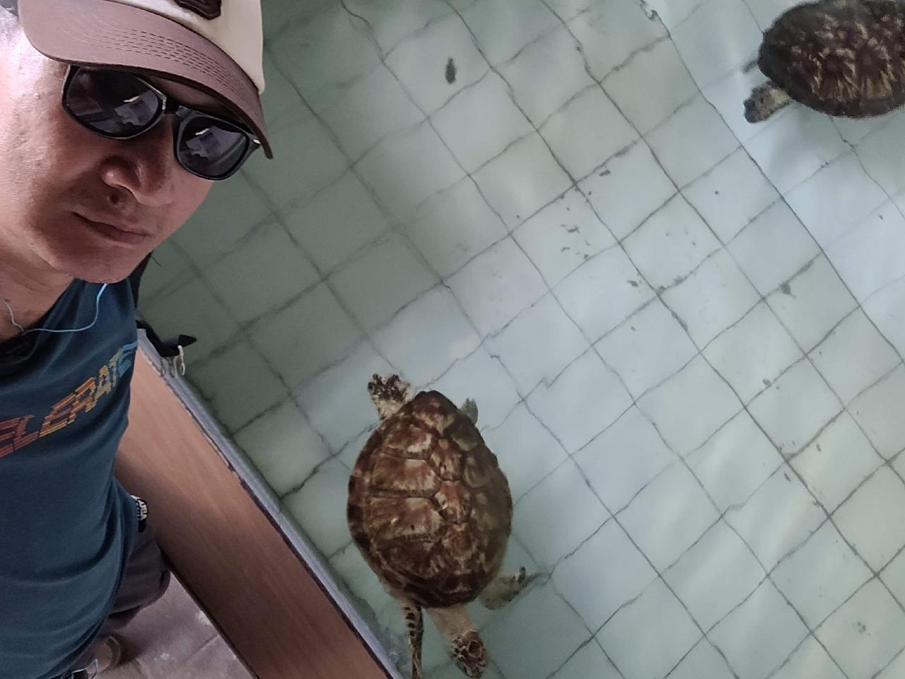 Turtle Conservation Center